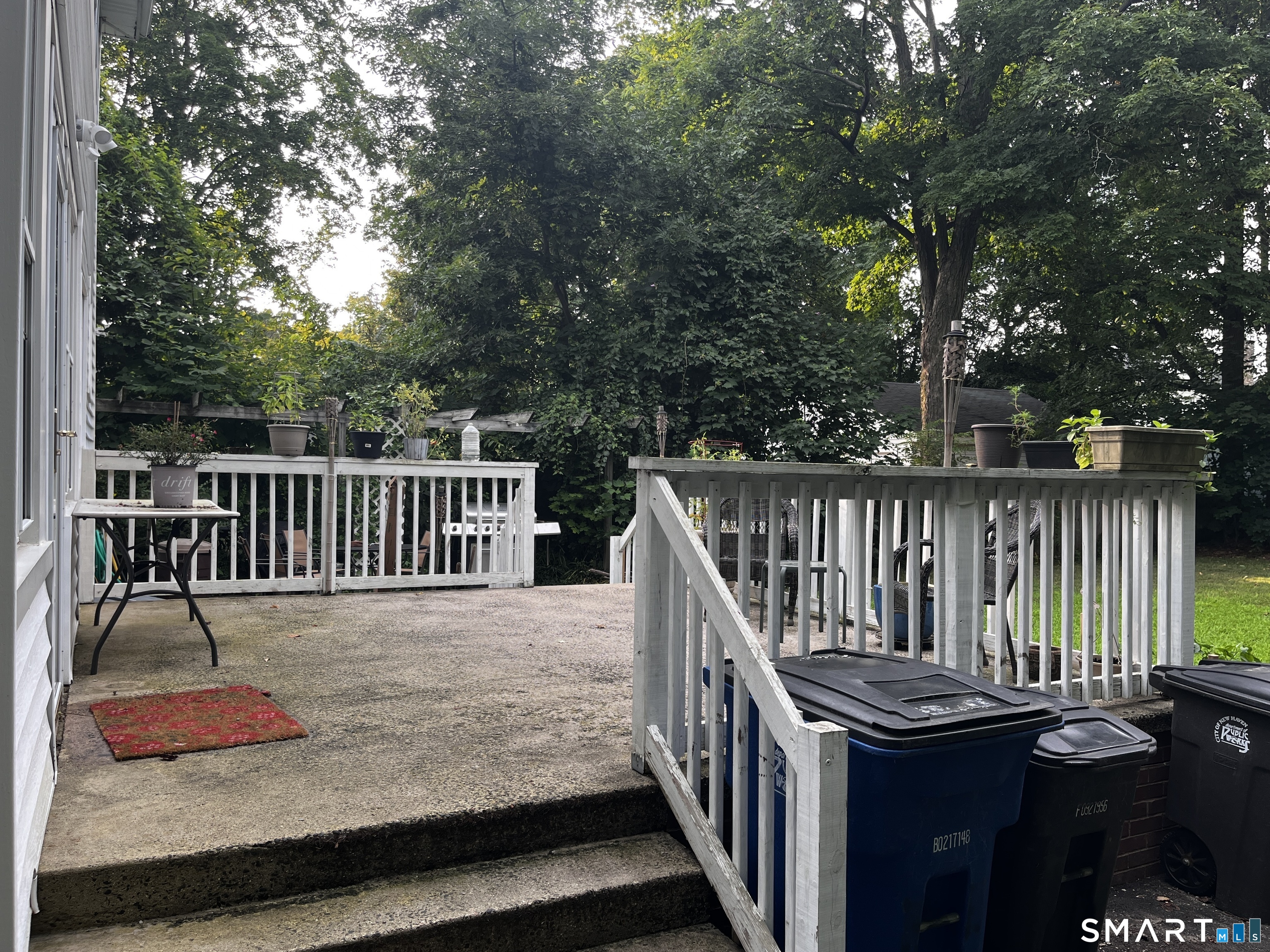21 Elmwood Road New Haven CT 06515