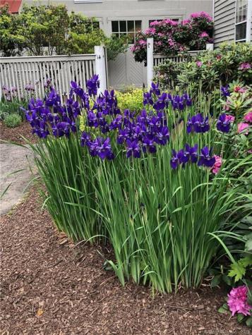 14 Quassuk Road Woodbury CT 06798