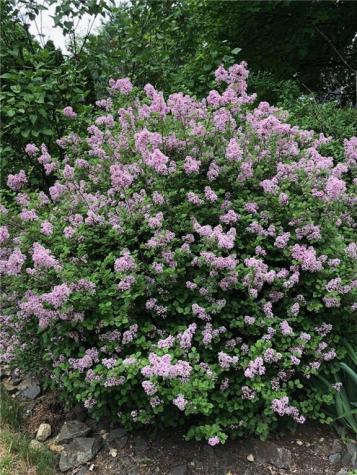 14 Quassuk Road Woodbury CT 06798