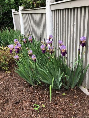 14 Quassuk Road Woodbury CT 06798