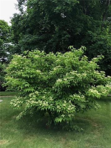 14 Quassuk Road Woodbury CT 06798