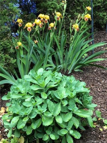 14 Quassuk Road Woodbury CT 06798