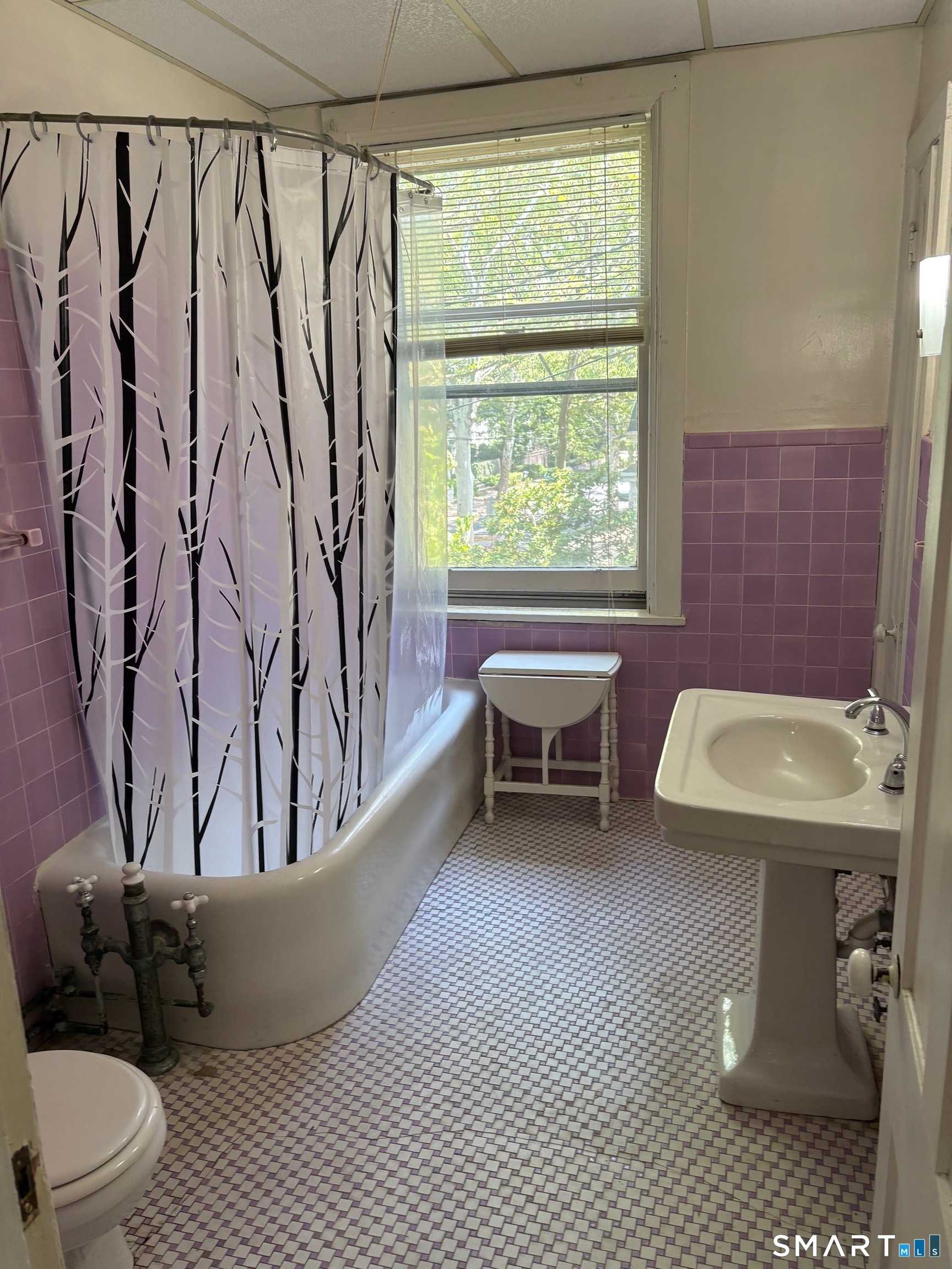 262 Bradley Street New Haven CT 06510