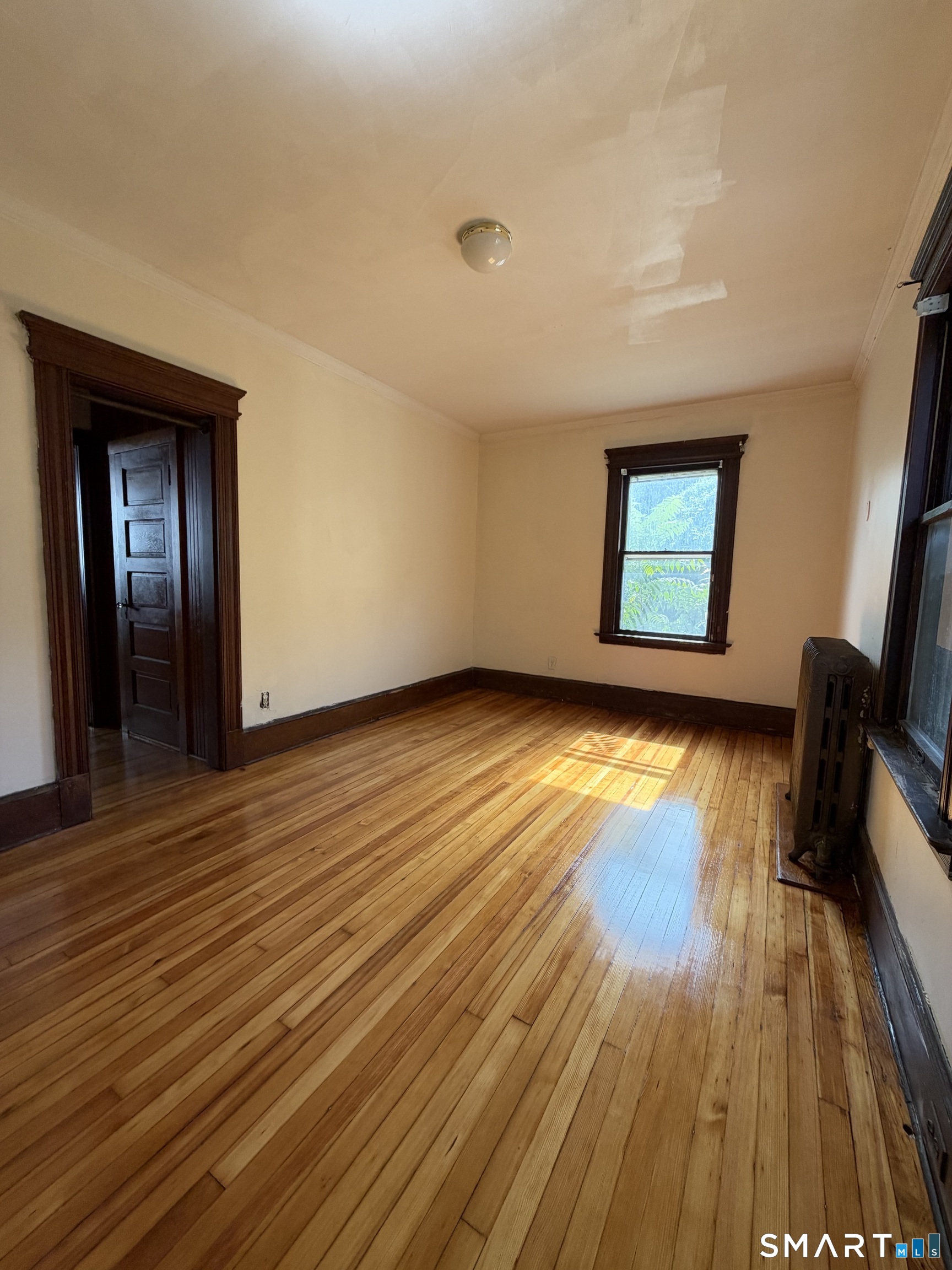 820 Elm Street New Haven CT 06511