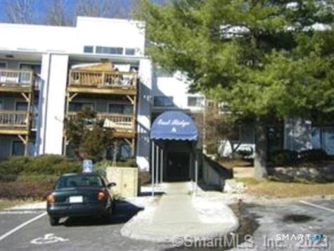5 Nabby Road Danbury CT 06811