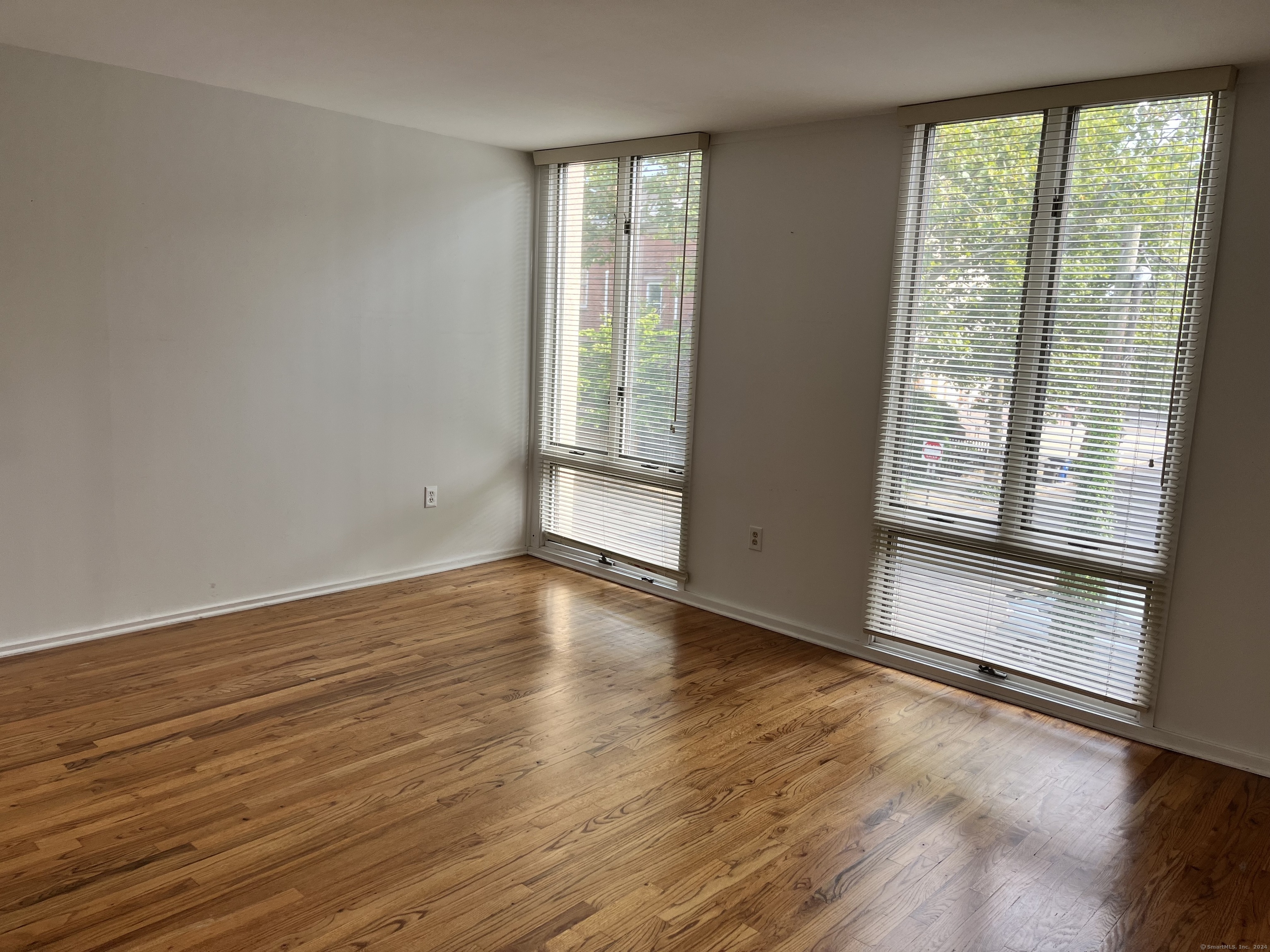 285 Greene Street New Haven CT 06511