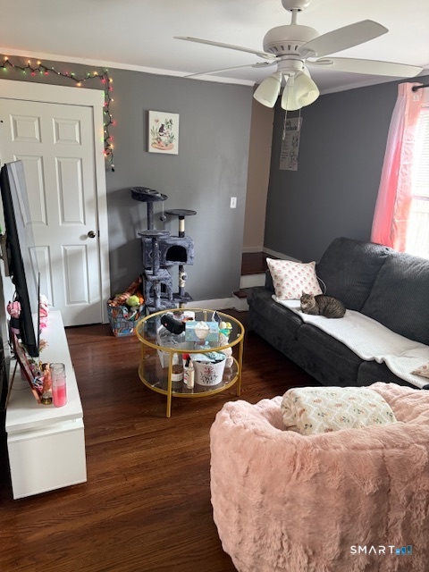 8 High Ridge Drive Bridgeport CT 06606