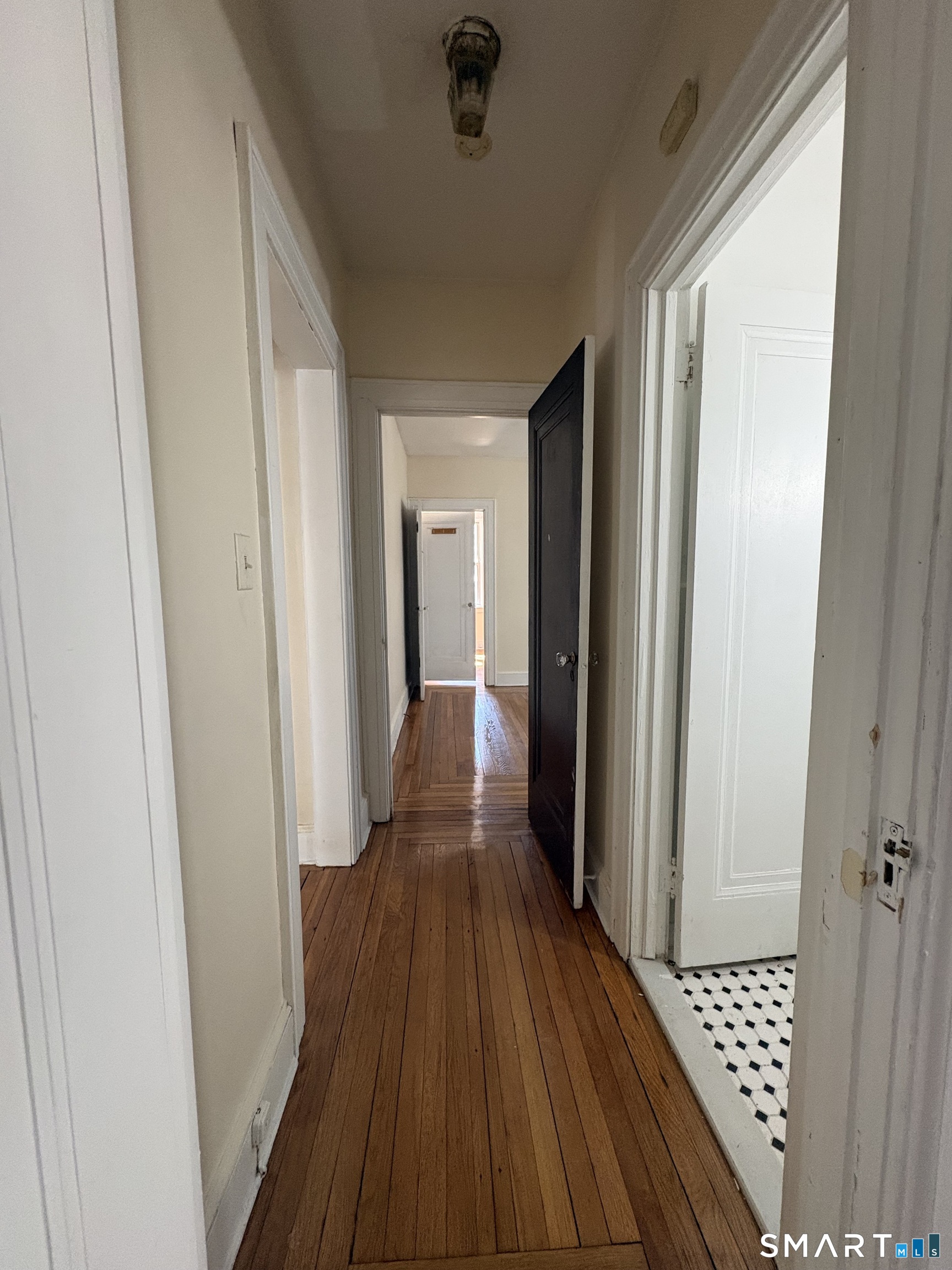 786 Elm Street New Haven CT 06511