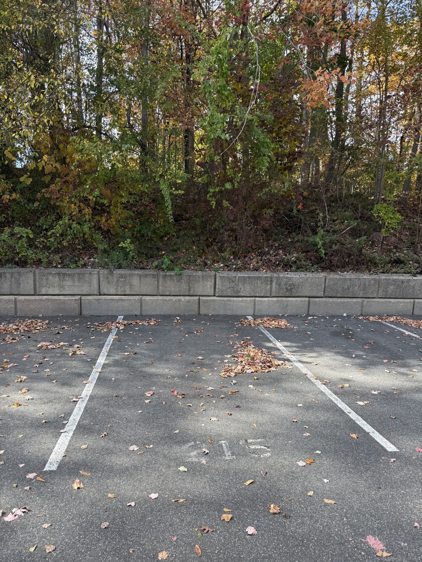 175 Mill Pond Road Hamden CT 06514