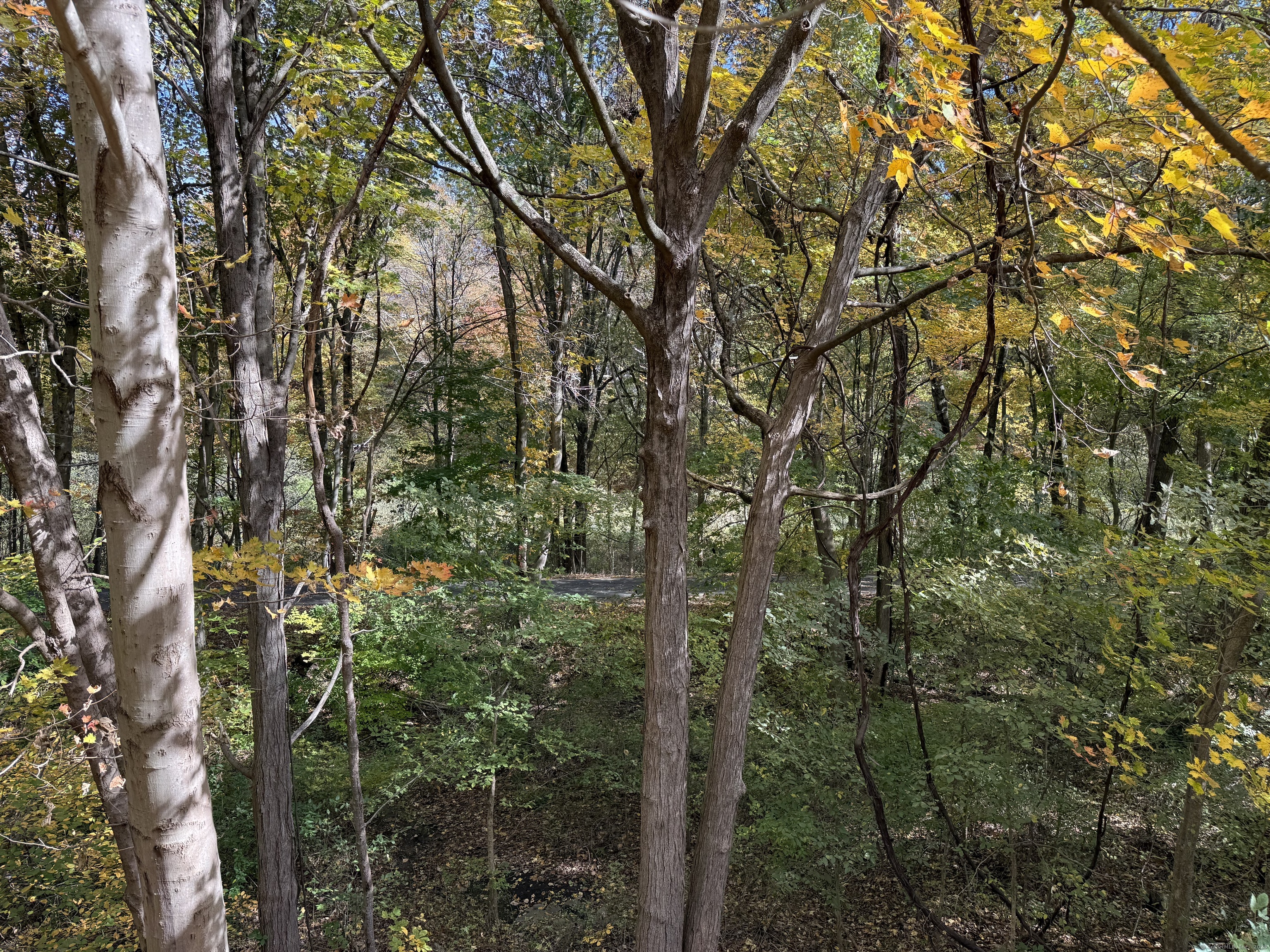 175 Mill Pond Road Hamden CT 06514