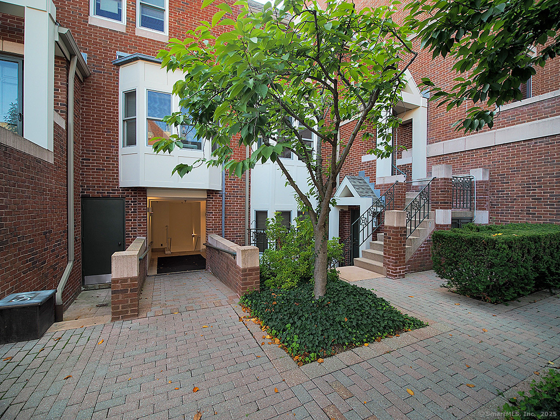 New Haven CT 06510