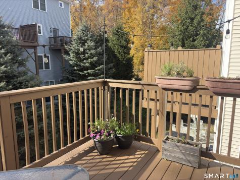 11 Old Oak Drive Brookfield CT 06804