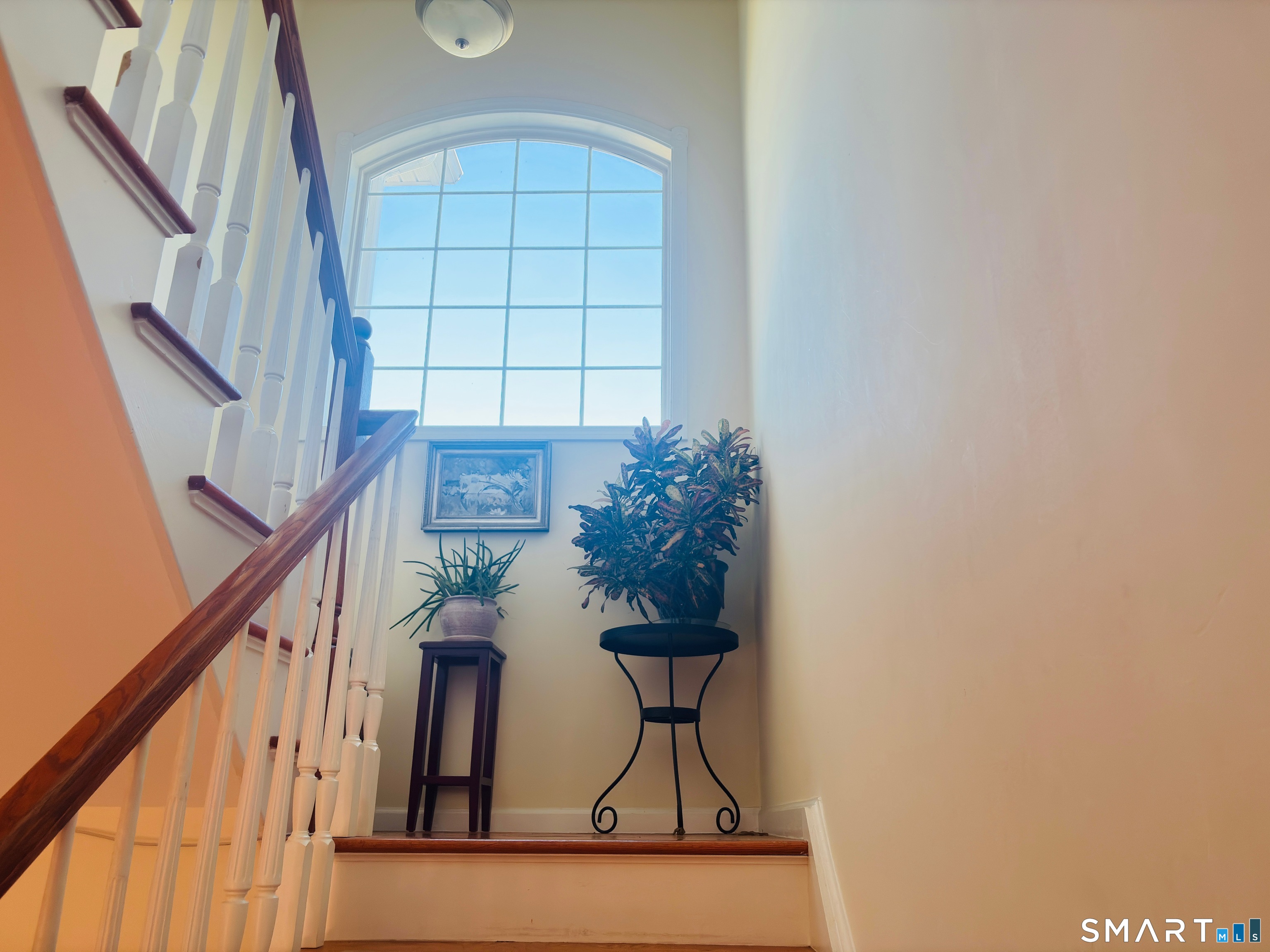 11 Old Oak Drive Brookfield CT 06804