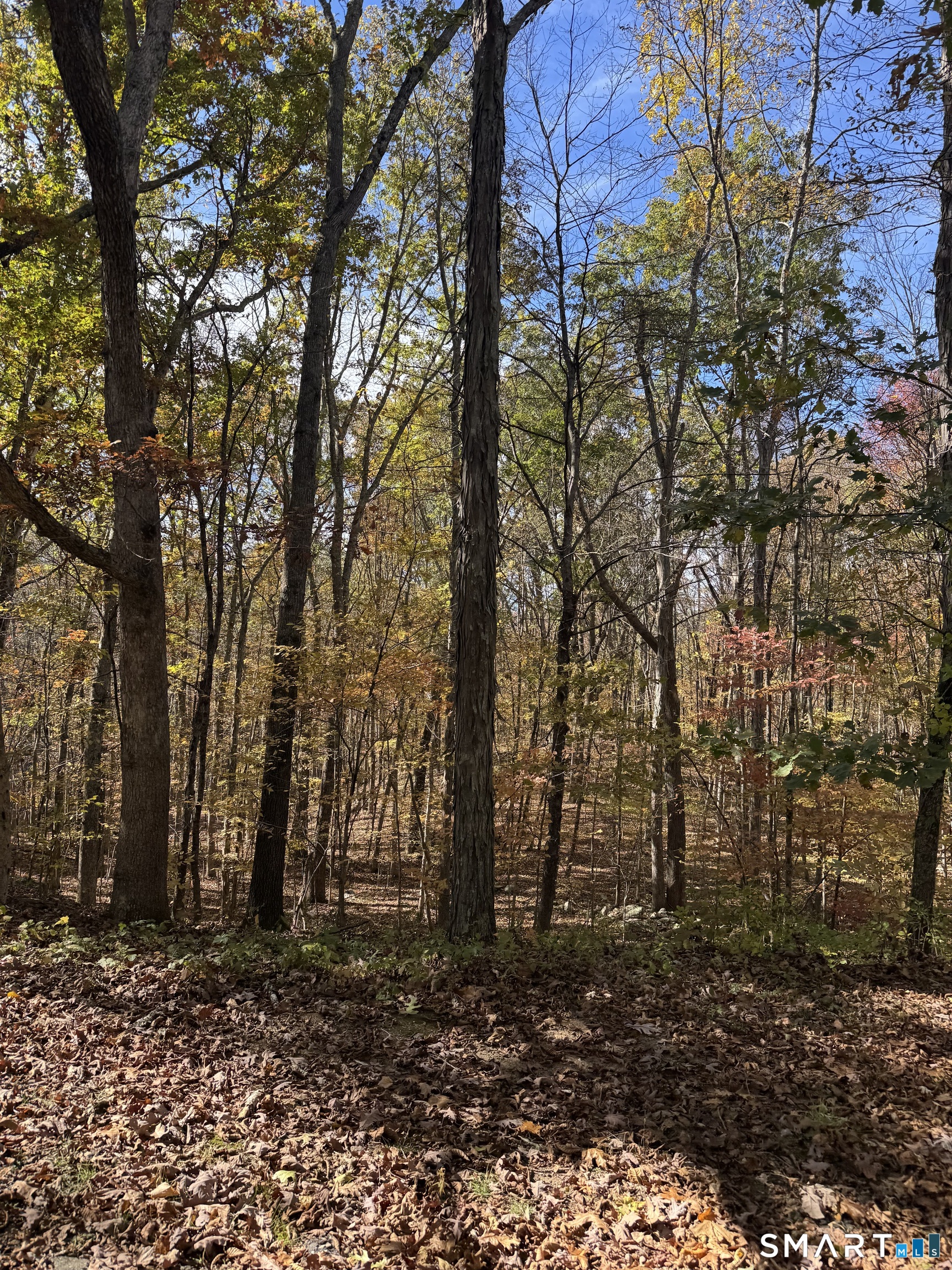 87 Buff Cap Road Tolland CT 06084