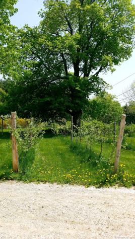 275 Interlaken Road Salisbury CT 06039