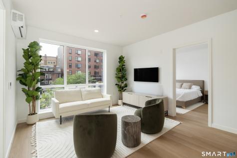19 Elm Street New Haven CT 06513