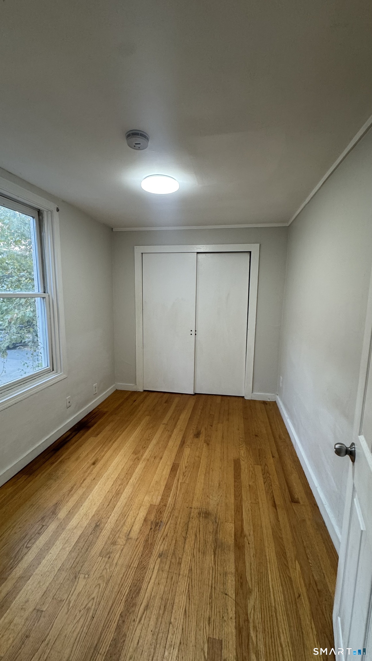 97 Cedar Street New Haven CT 06519