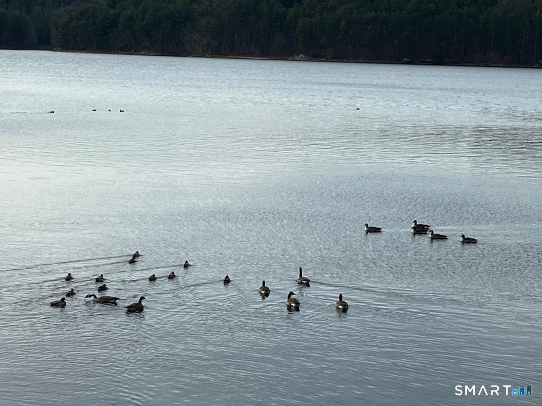 71 Ellington Road Tolland CT 06084