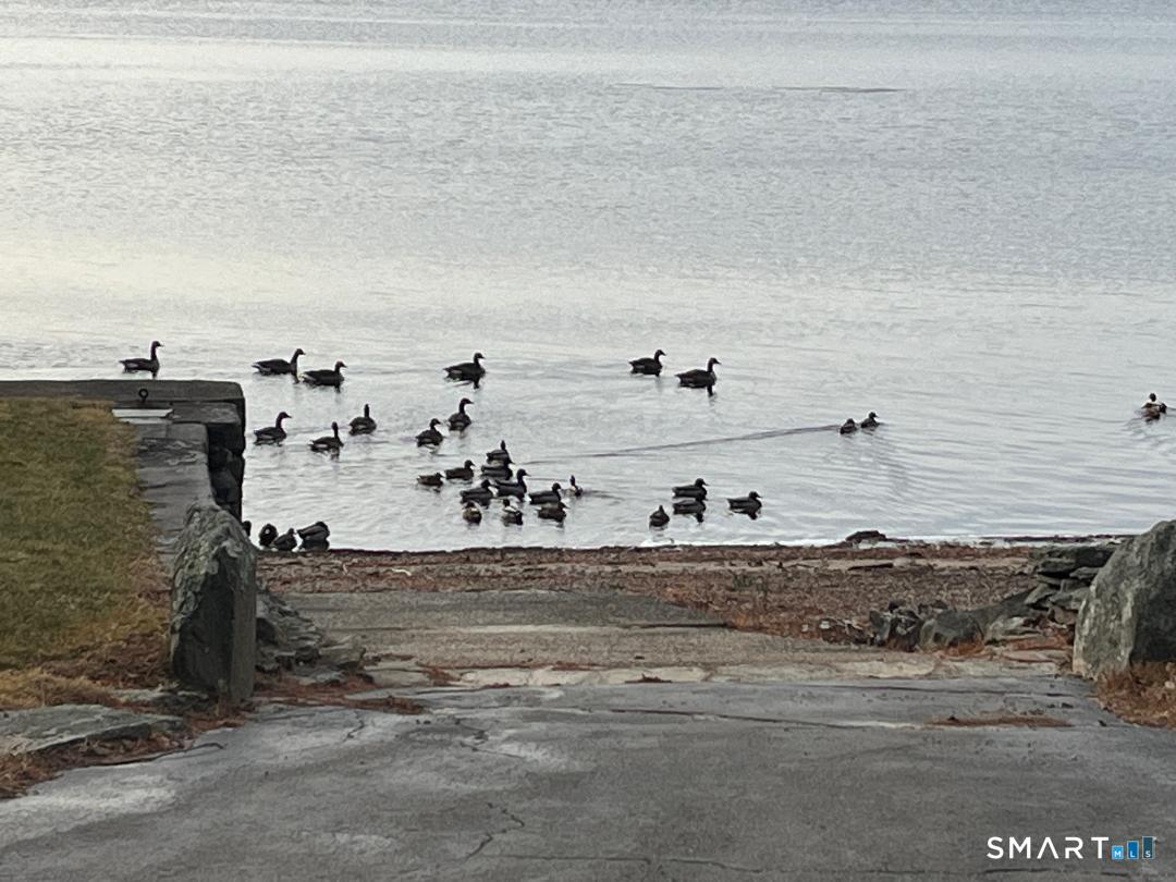 71 Ellington Road Tolland CT 06084