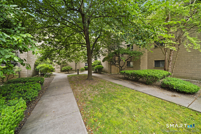 38 North Main Street West Hartford CT 06107