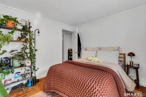 31 Clark Street New Haven CT 06511