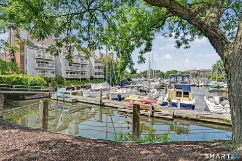 123 Harbor Drive Stamford CT 06902