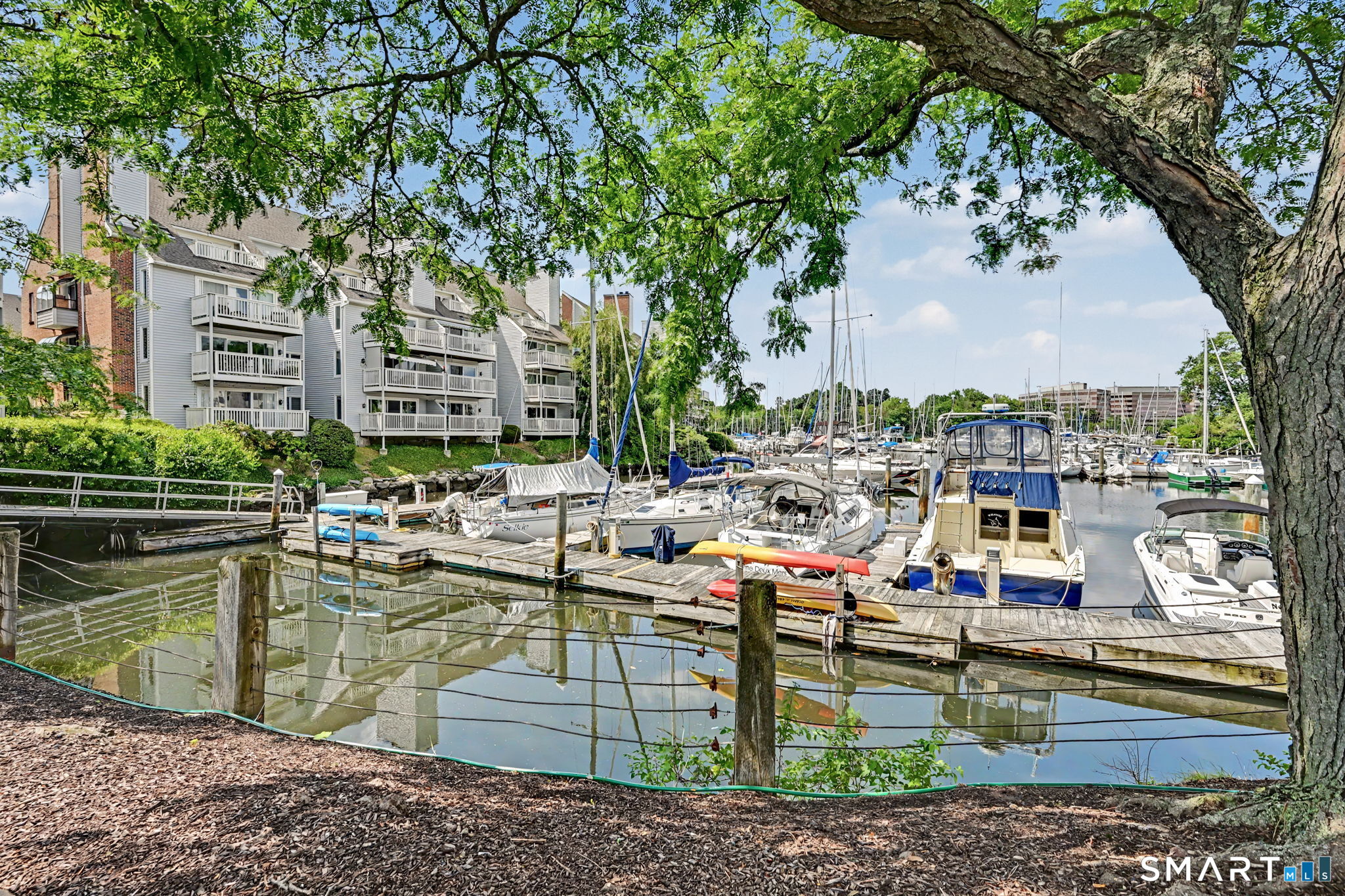 123 Harbor Drive Stamford CT 06902