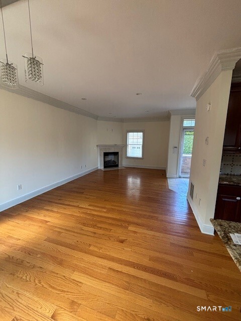 88 Maple Tree Avenue Stamford CT 06906