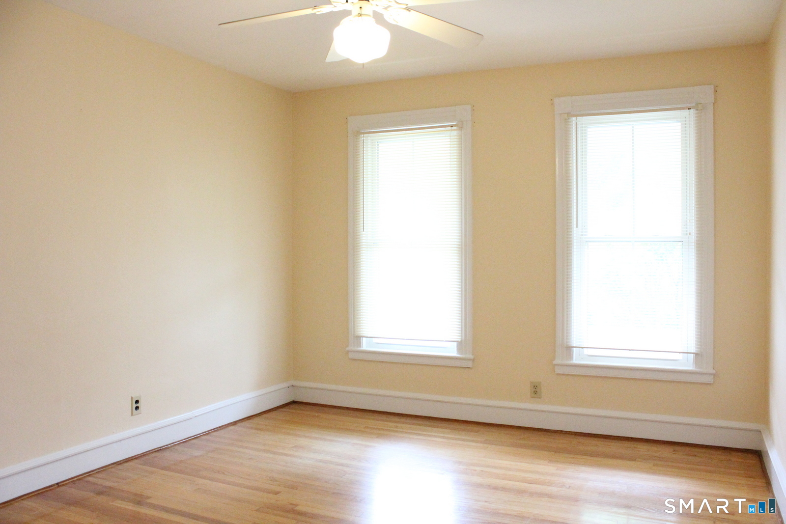 28 Cottage Street New Haven CT 06511