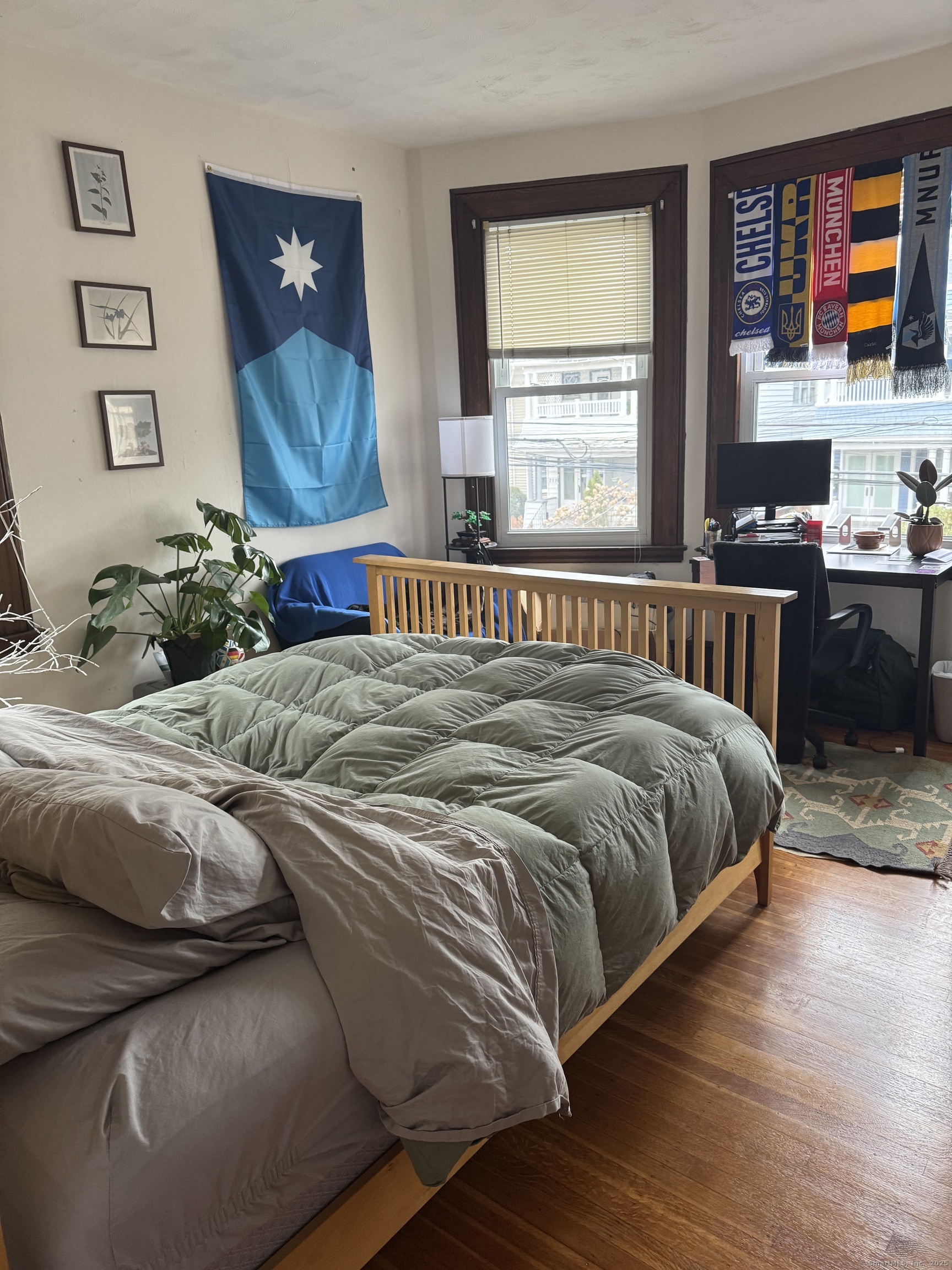 250 Willow Street New Haven CT 06511