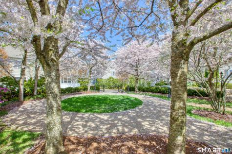 39 Maple Tree Avenue Stamford CT 06906