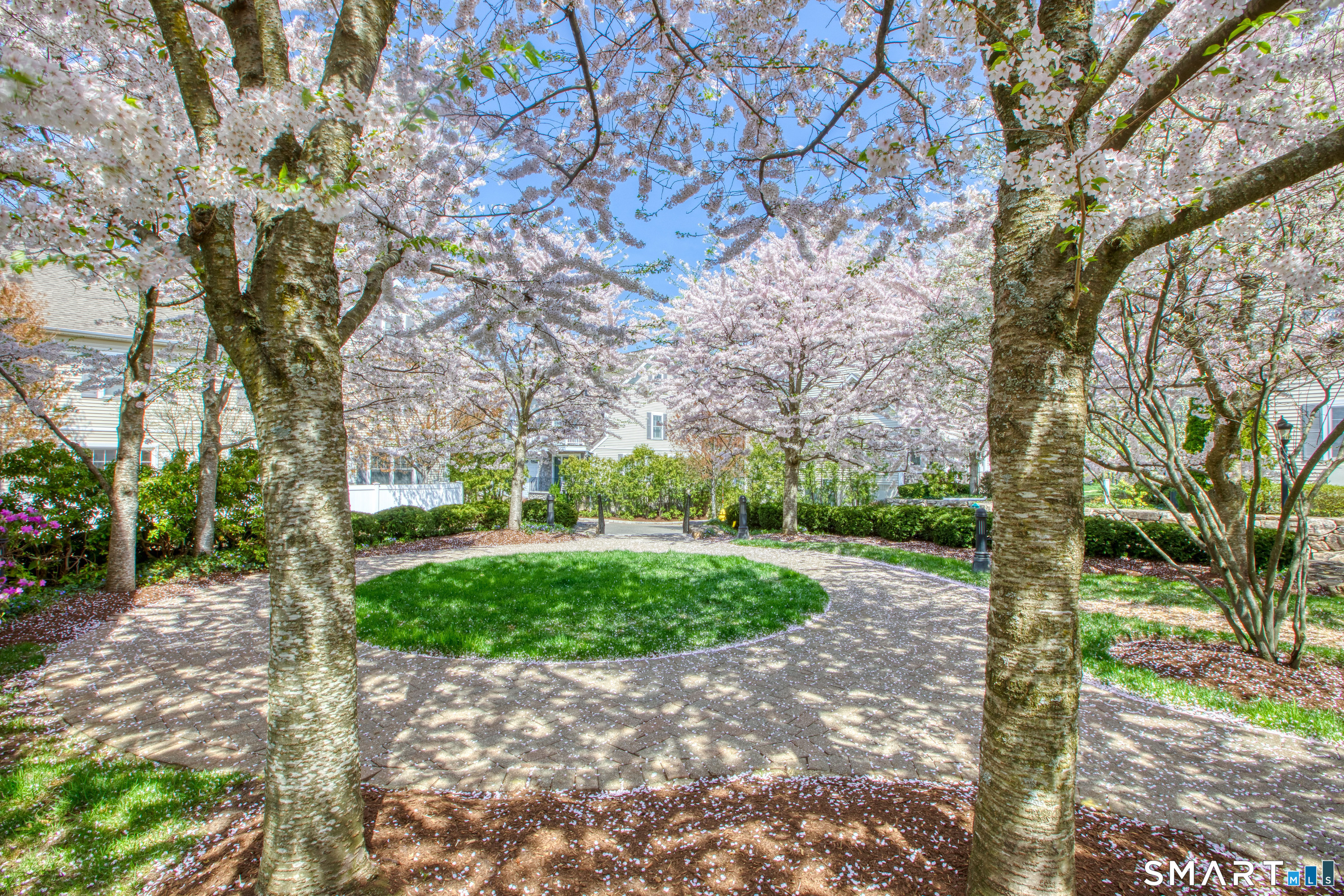 39 Maple Tree Avenue Stamford CT 06906