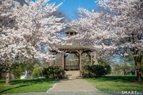 7 Ivy Hill Road Ridgefield CT 06877