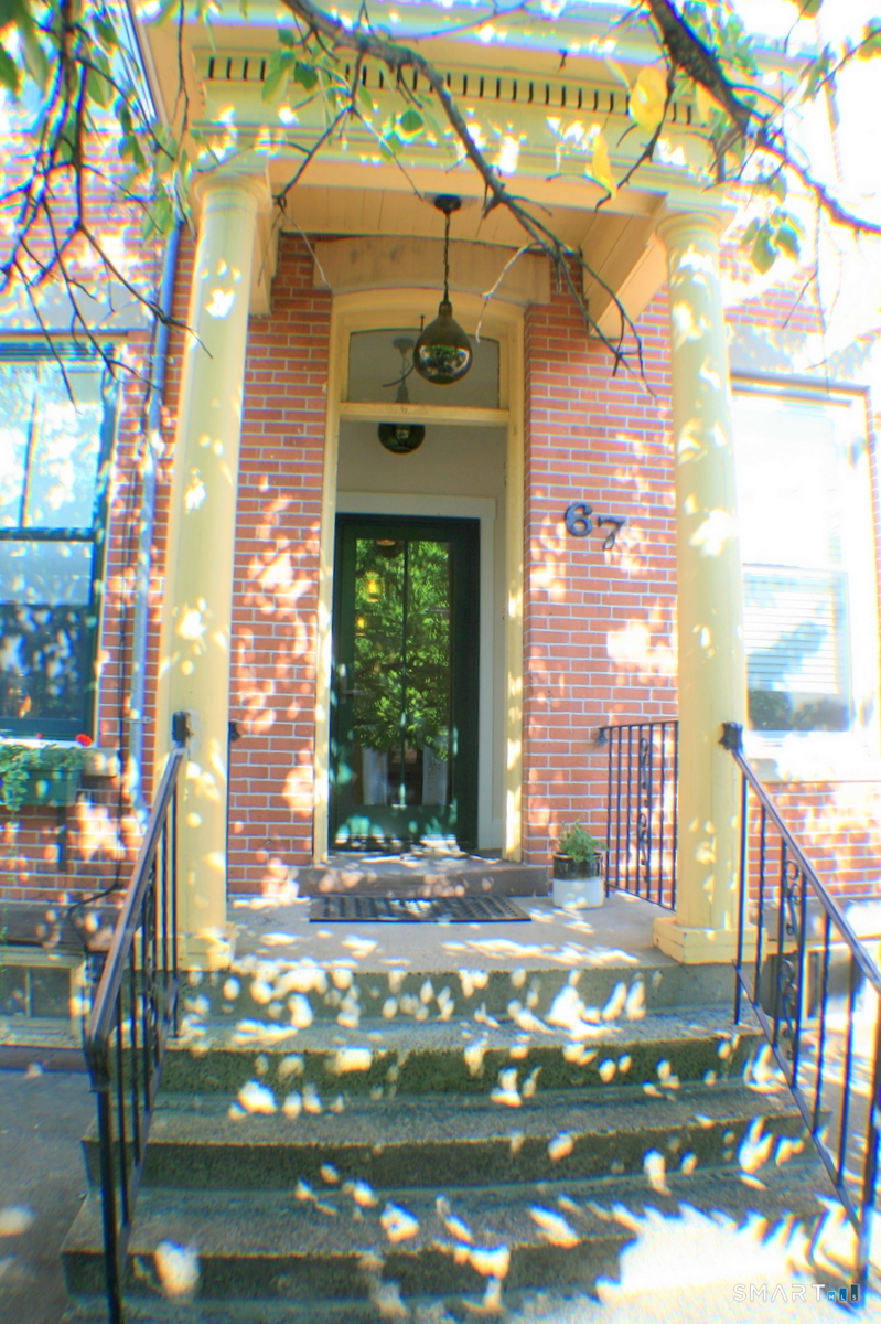67 Warren Street New Haven CT 06511