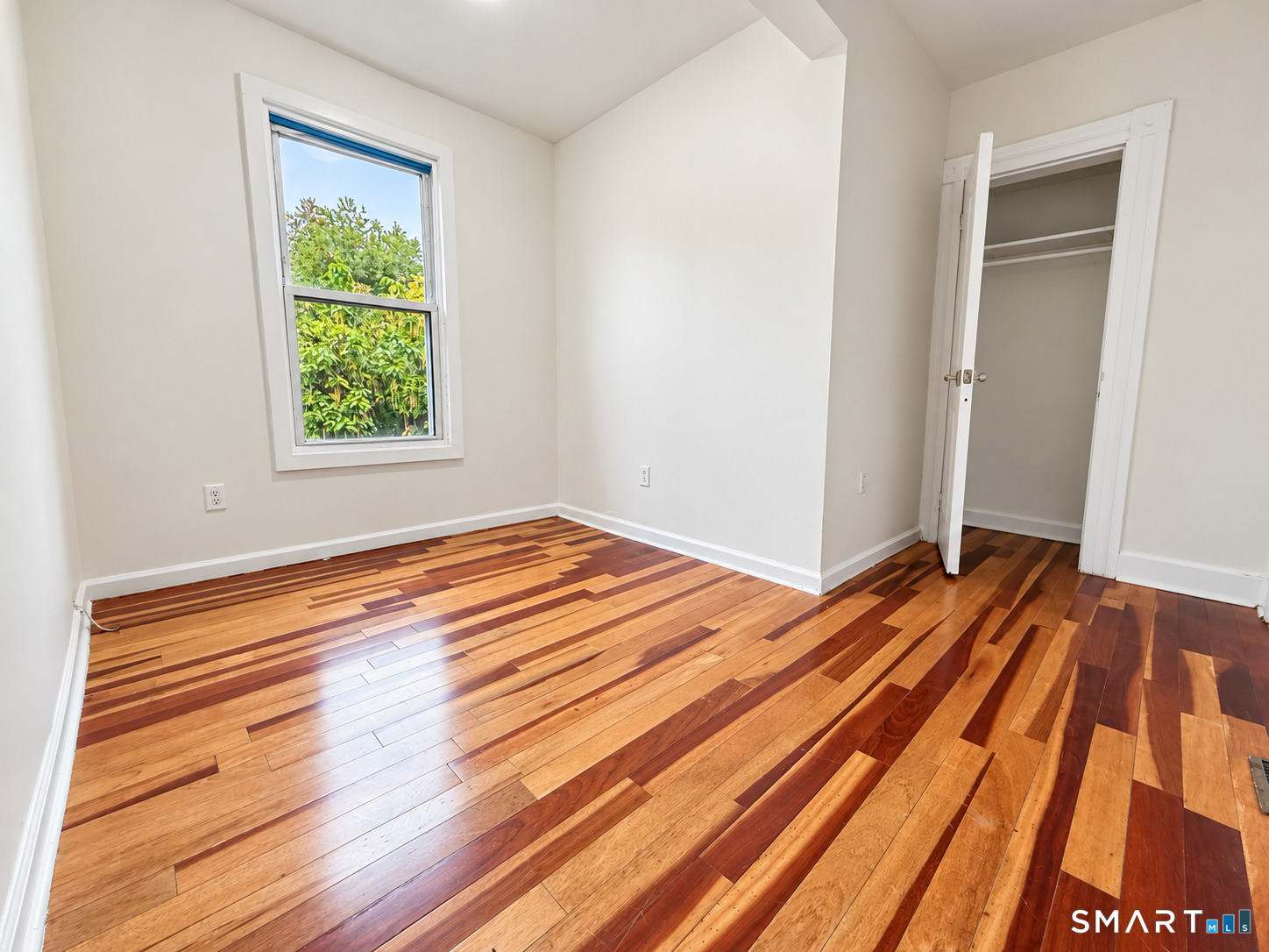 241 West Ivy Street New Haven CT 06511