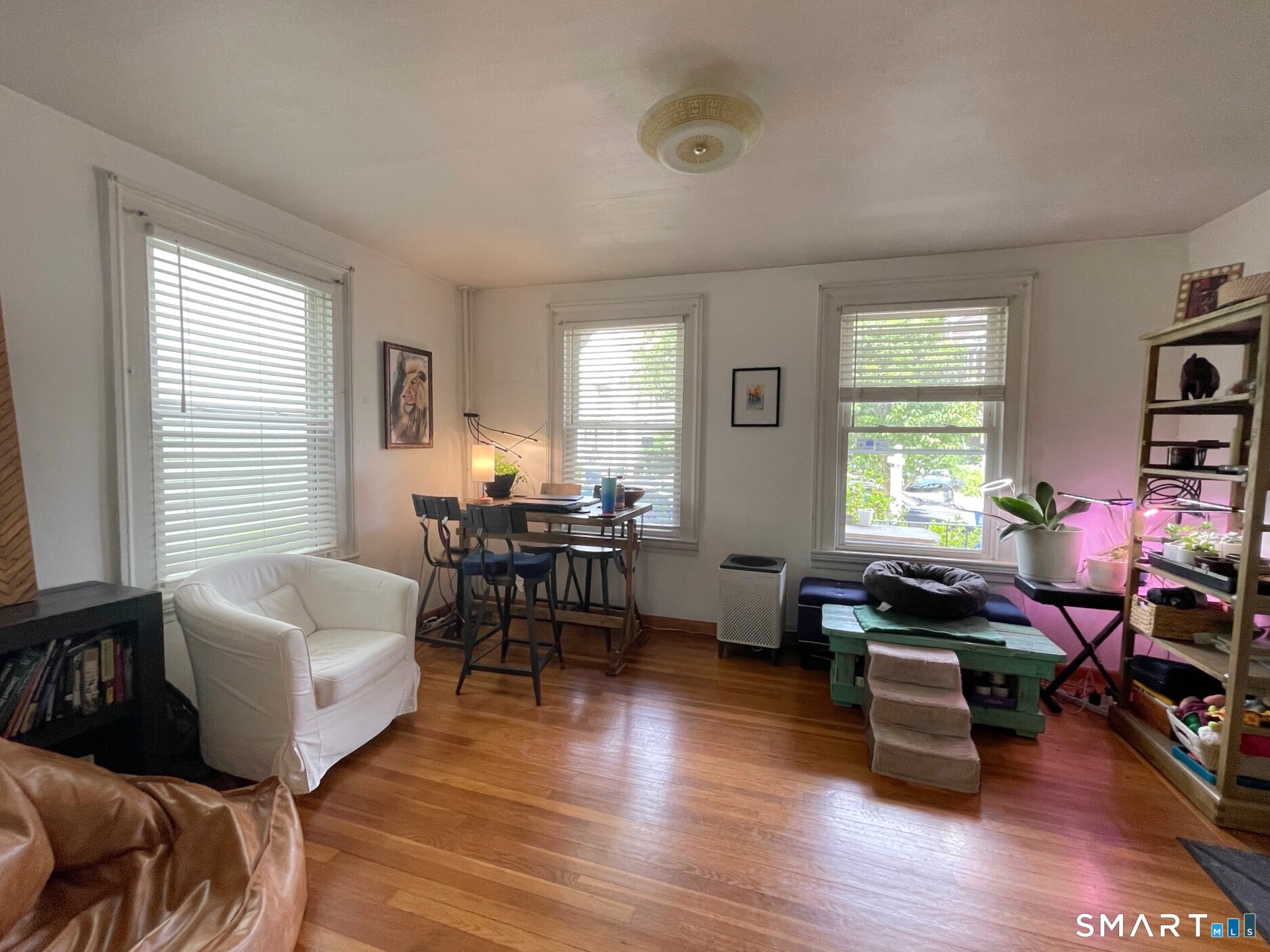 34 Cottage Street New Haven CT 06511