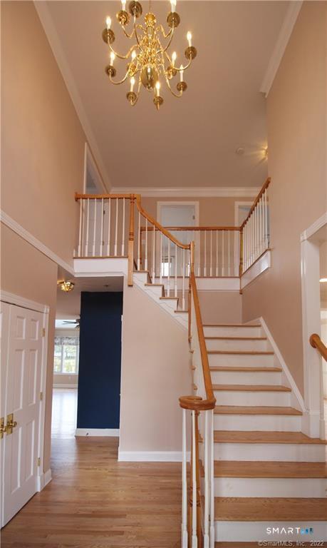 57 Willoughby Road Shelton CT 06484