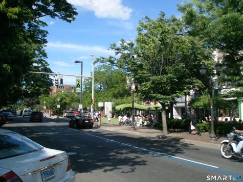 25 Forest Street Stamford CT 06901