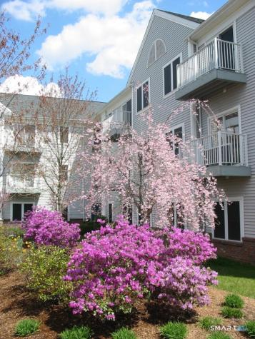 100C Danbury Road Ridgefield CT 06877