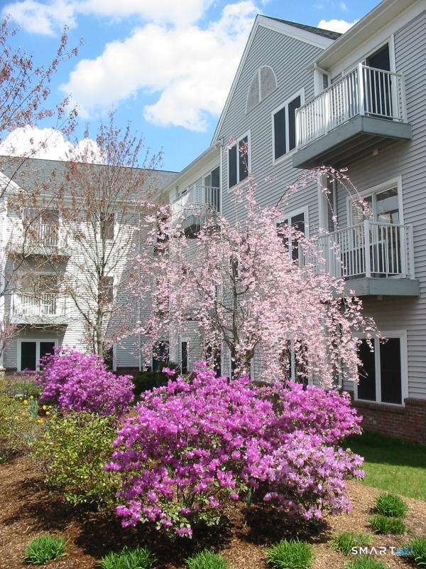 100C Danbury Road Ridgefield CT 06877