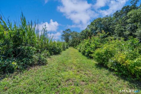 50 Stannard Avenue Branford CT 06405