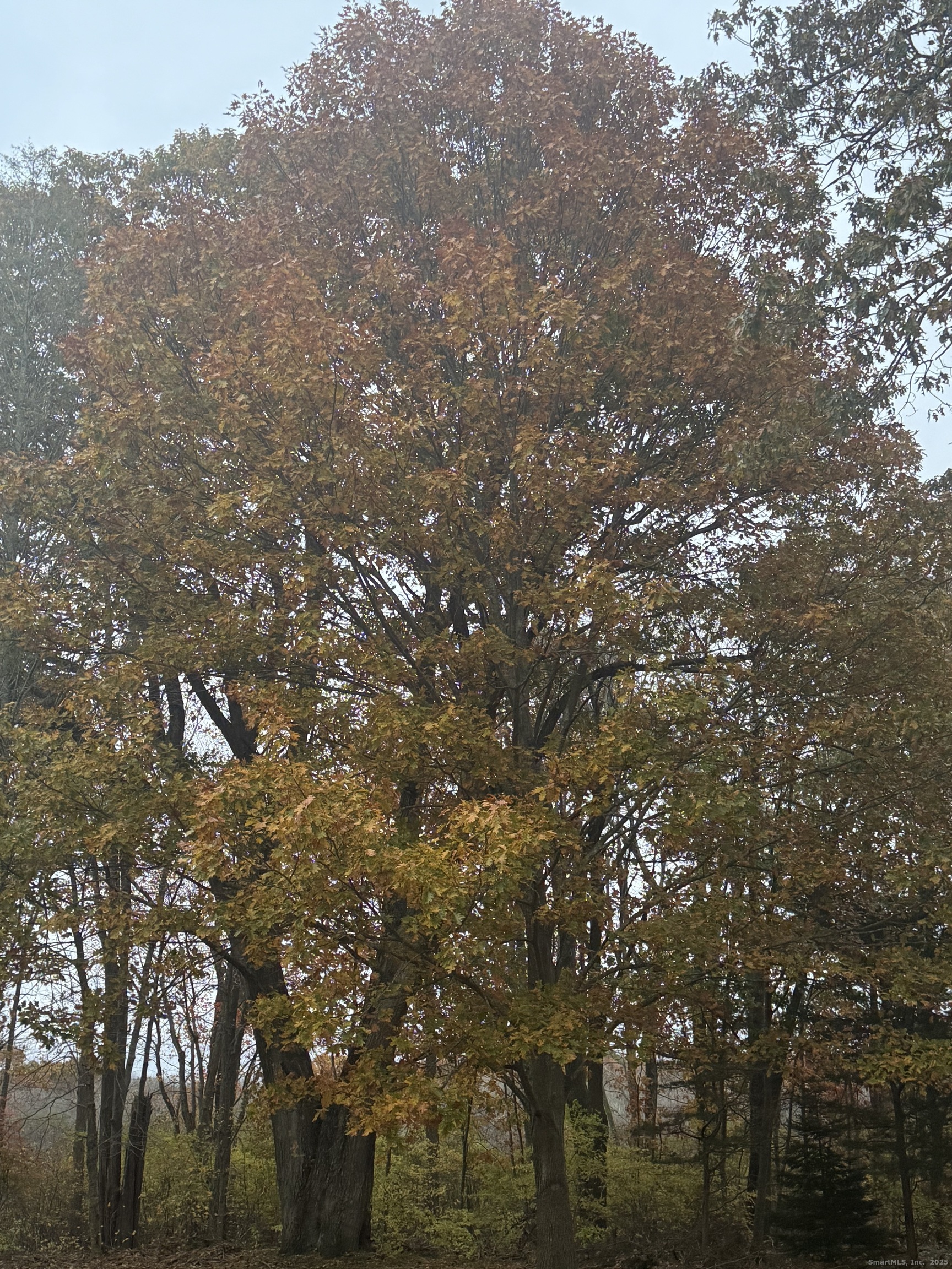 20 Dartmouth Road Mansfield CT 06268