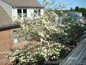 263 Roselle Street Fairfield CT 06825