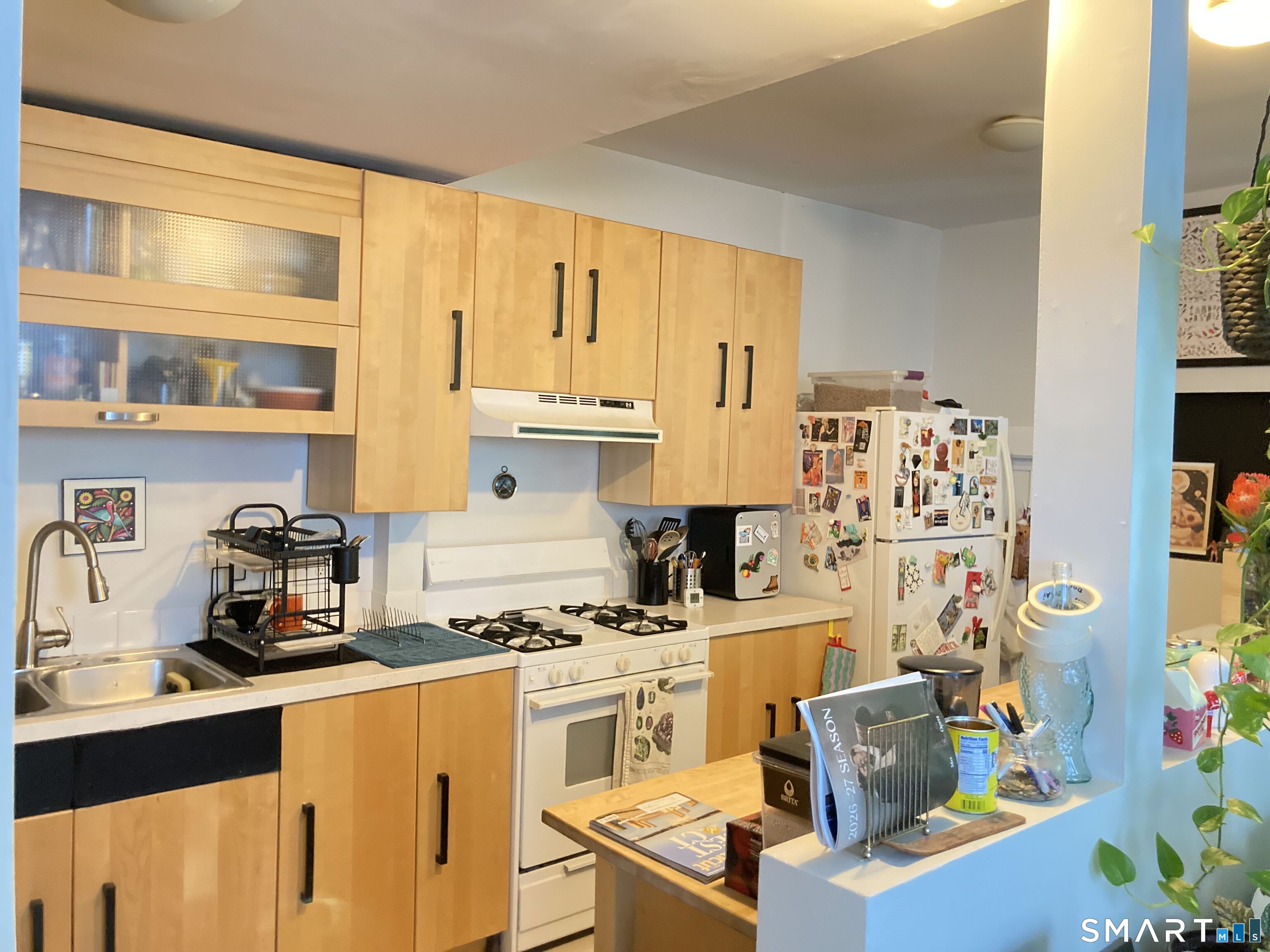 102 Mansfield Street New Haven CT 06511