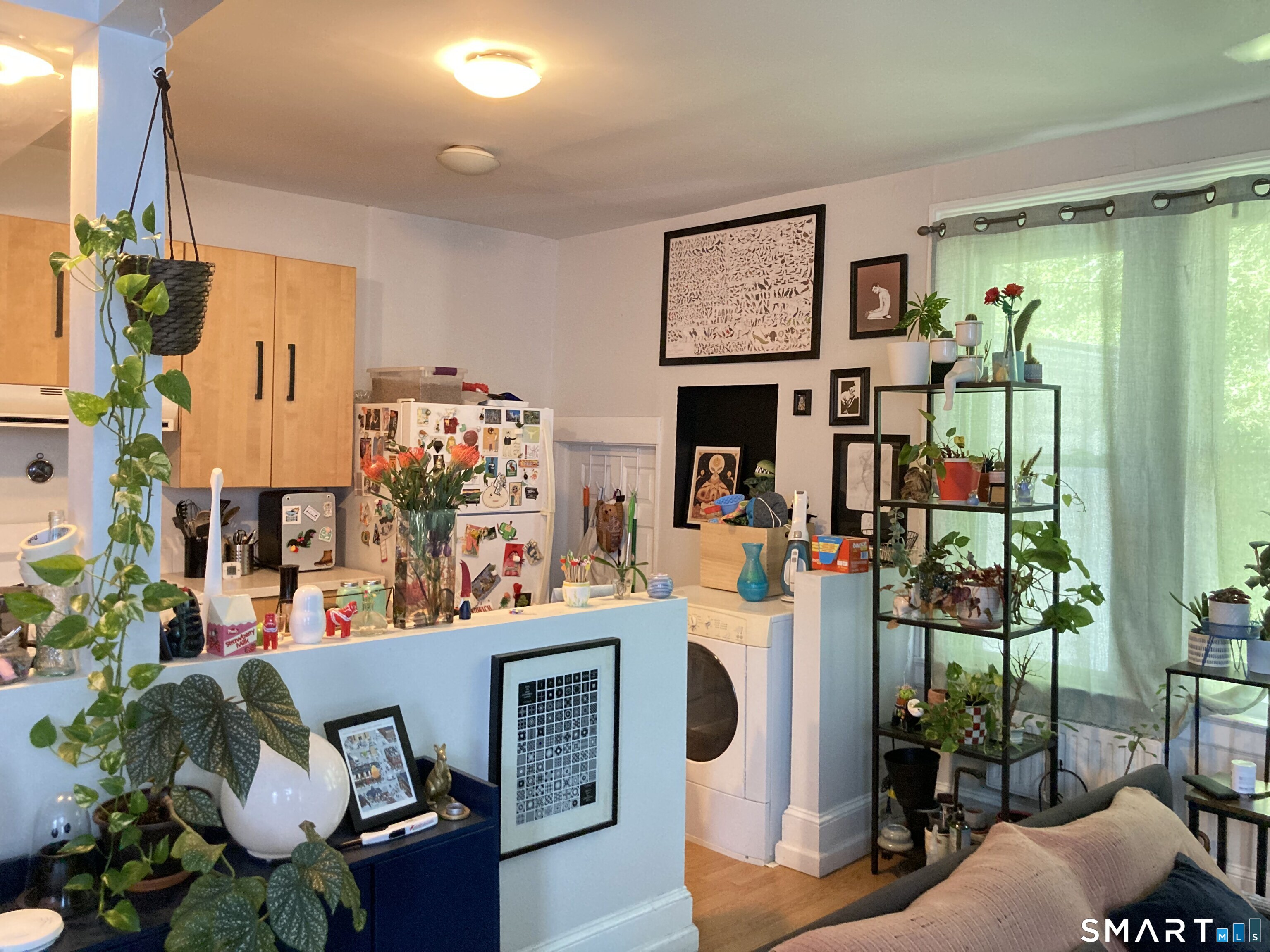 102 Mansfield Street New Haven CT 06511