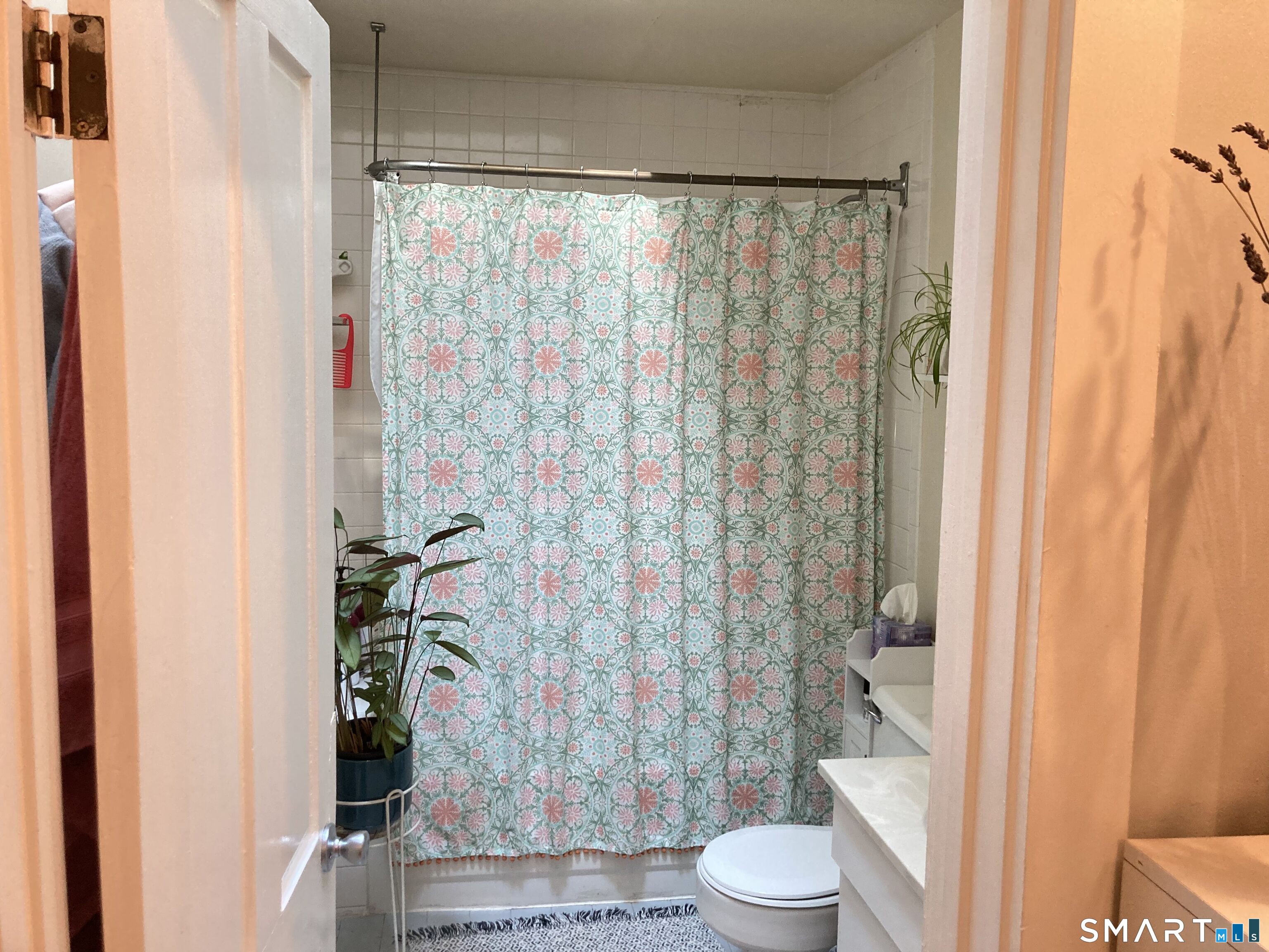 102 Mansfield Street New Haven CT 06511