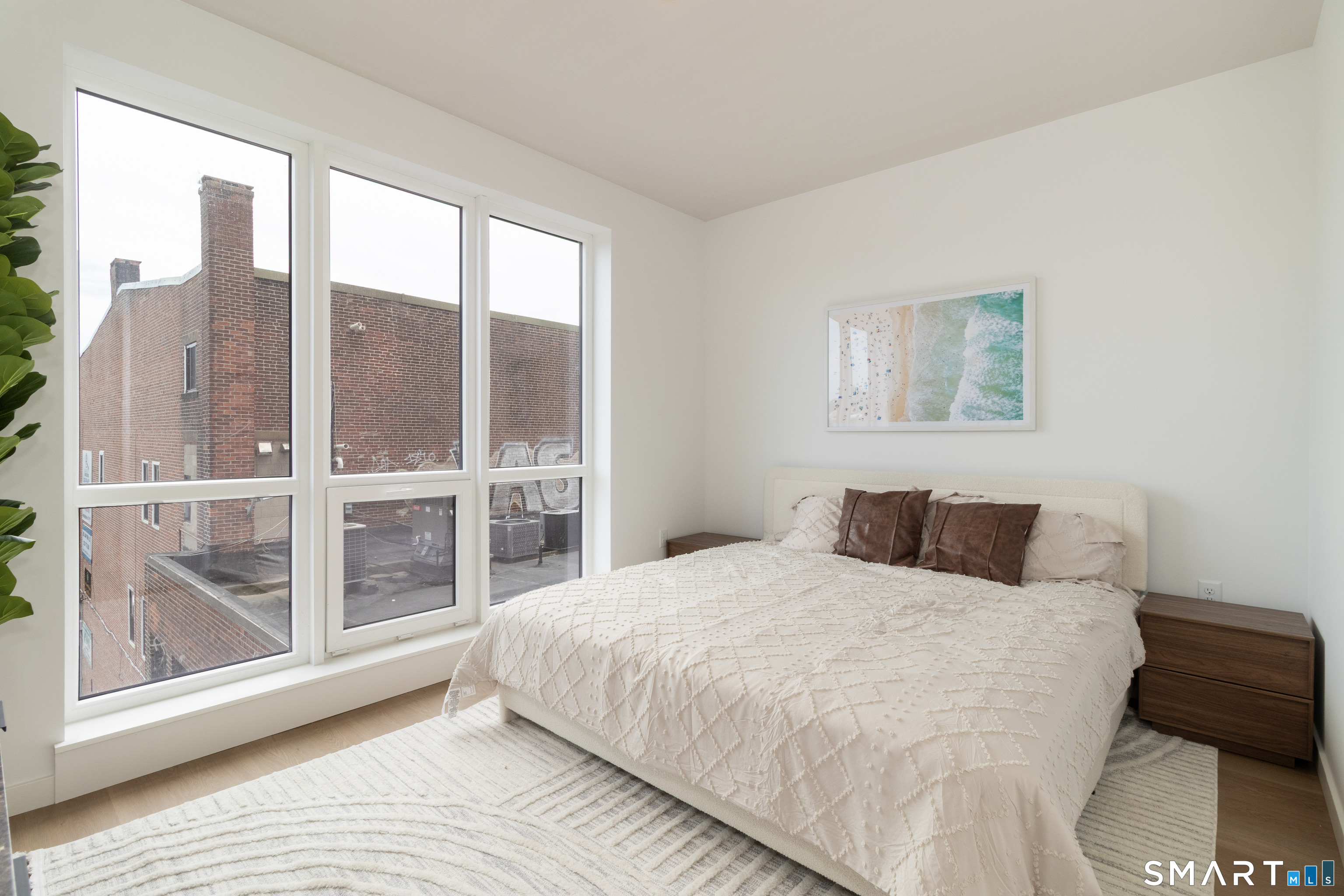 19 Elm Street New Haven CT 06510