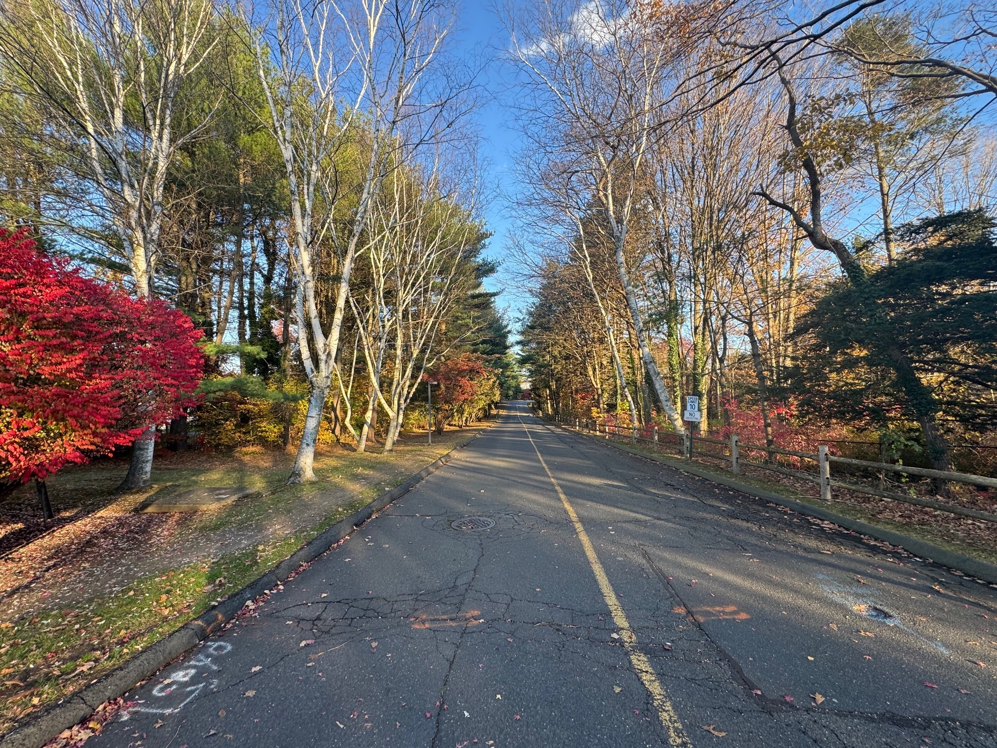 460 Asbury Ridge Shelton CT 06484