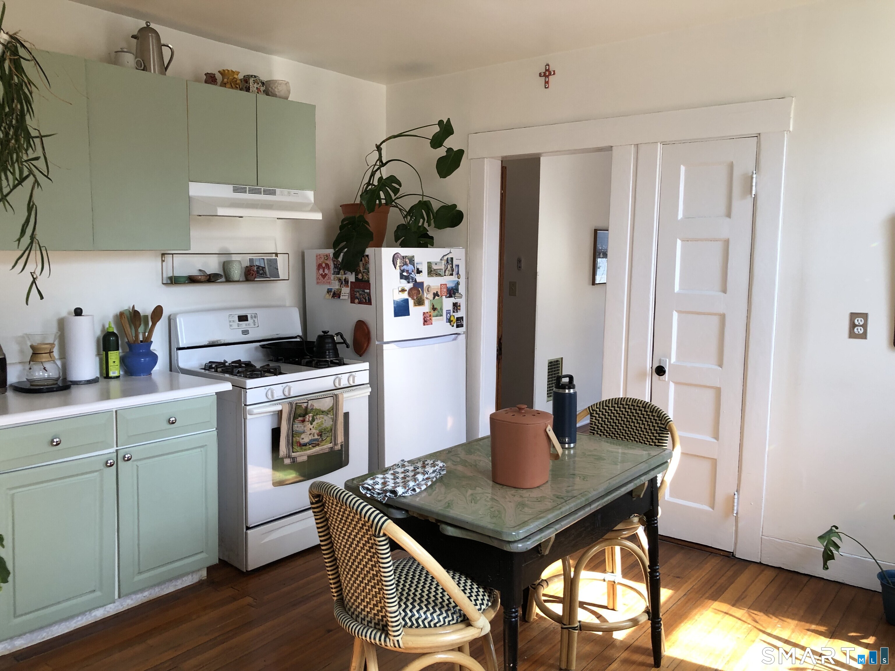 52 Canner Street New Haven CT 06511