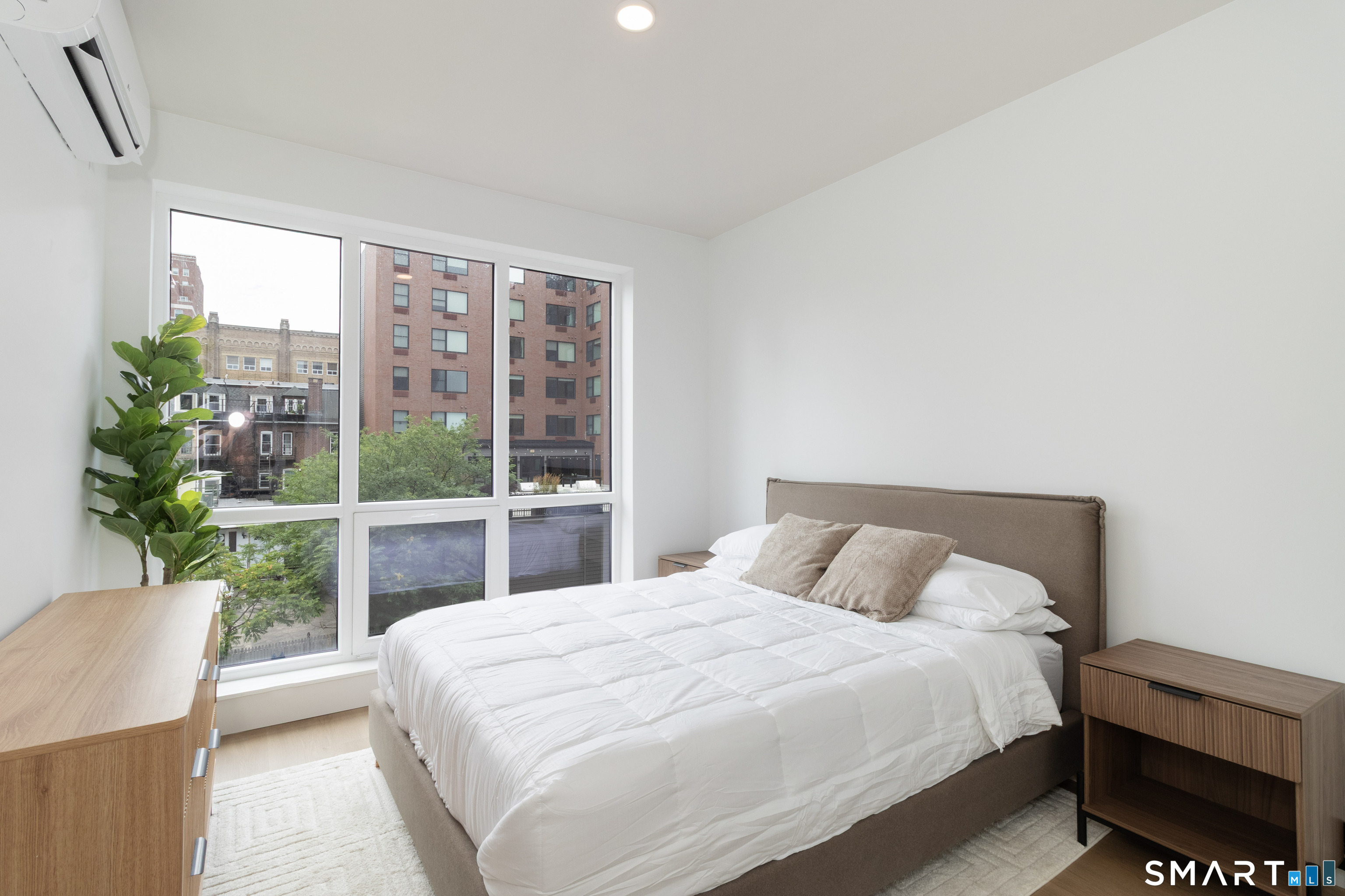 19 Elm Street New Haven CT 06510